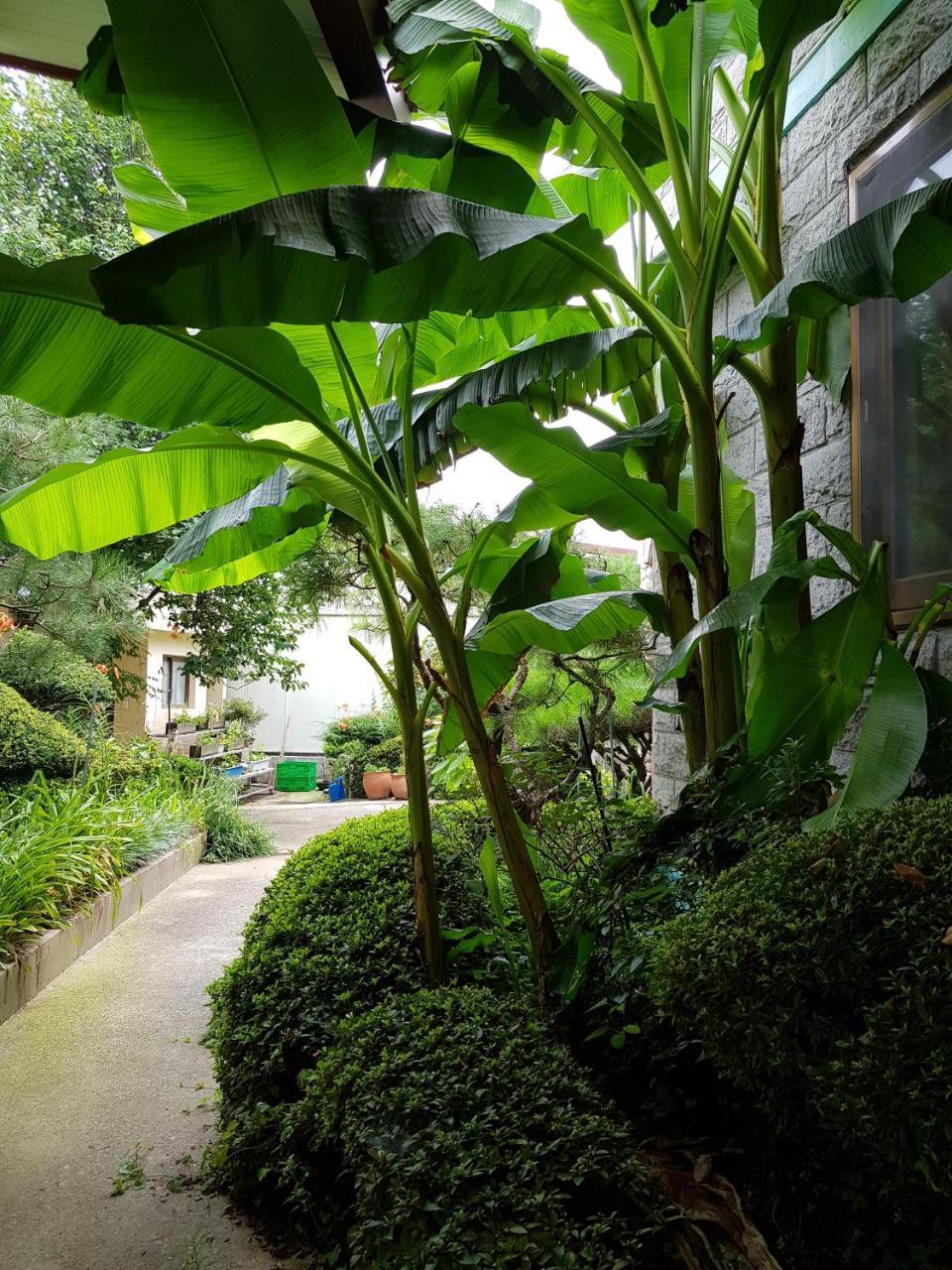 Hotel Jnw Minbak Damyang Esterno foto