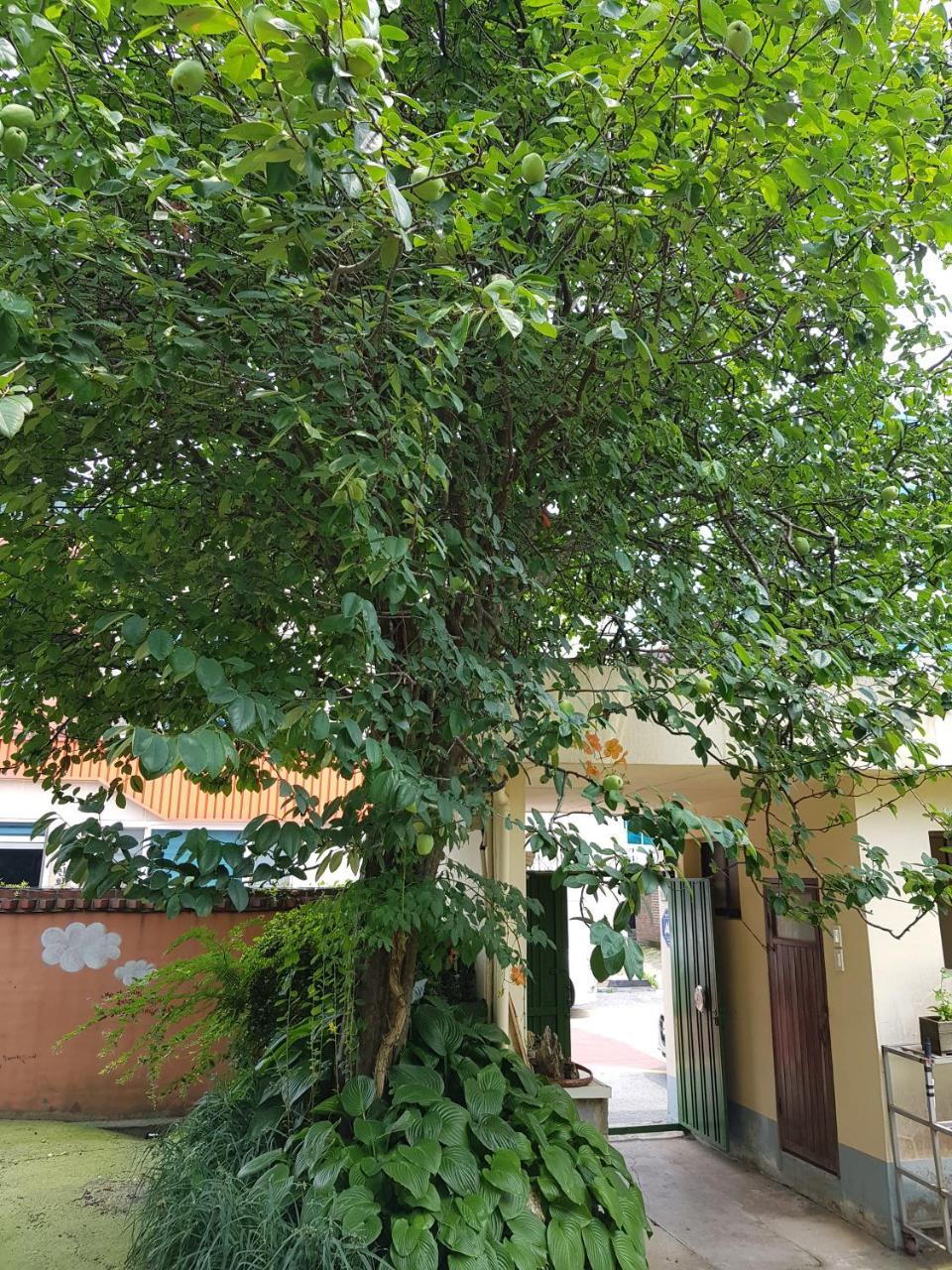 Hotel Jnw Minbak Damyang Esterno foto